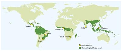 Editorial: Human impacts on bats in tropical ecosystems: sustainable actions and alternatives